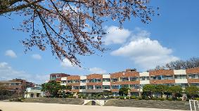 우리학교사진